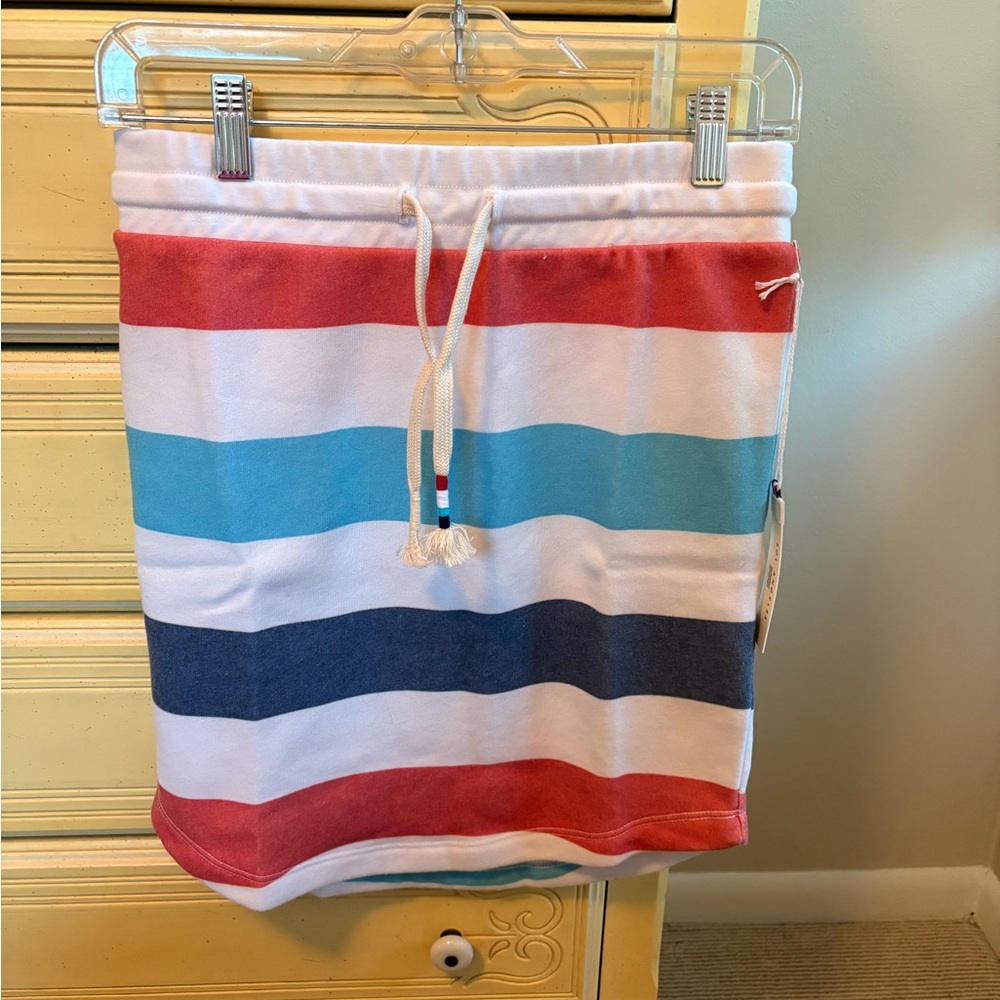 Striped Multicolor Skirt